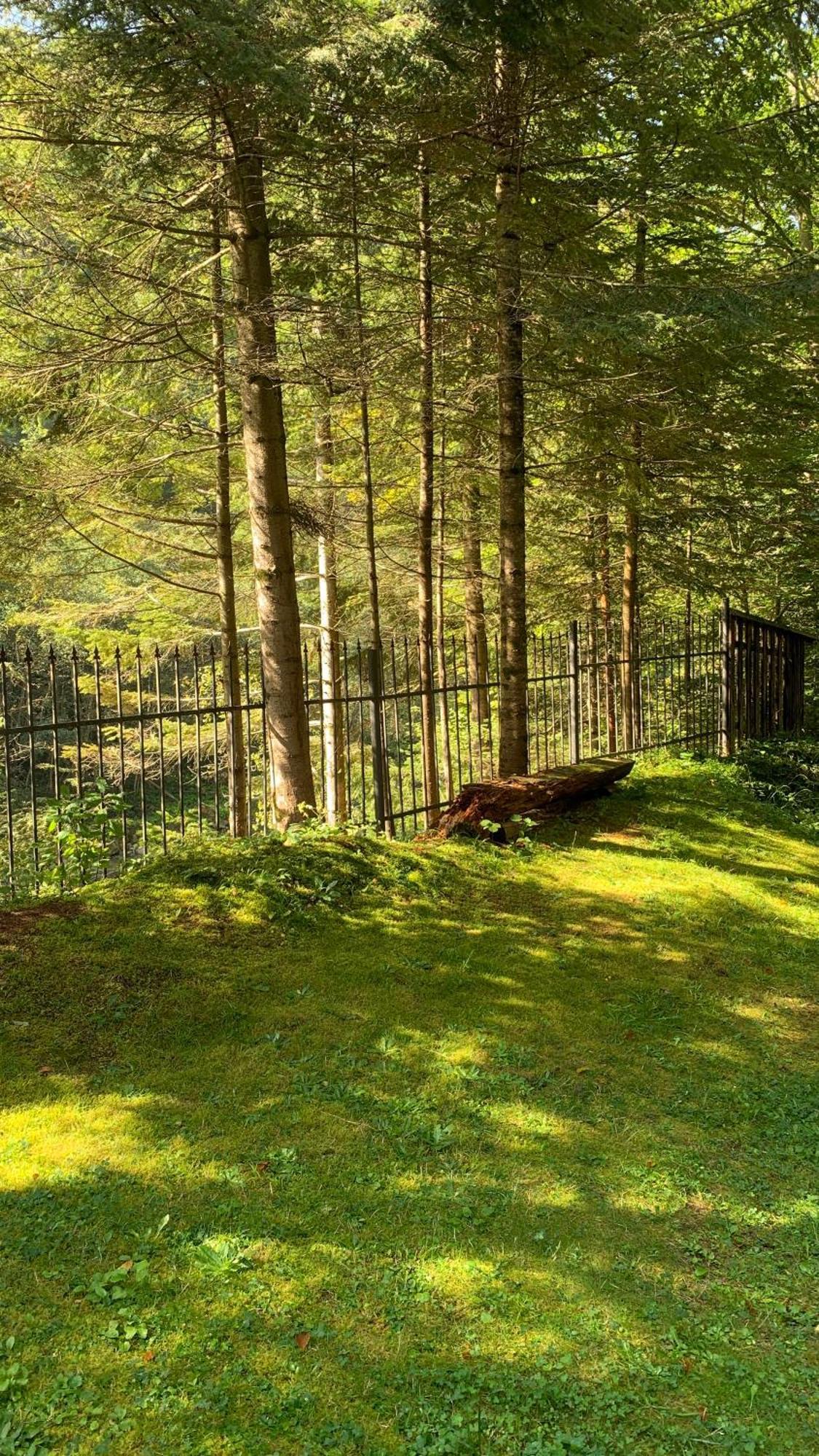Садиба Nad Prutom Jaremtsche Exterior foto